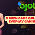 9 Agen Game Online Evoplay Gaming